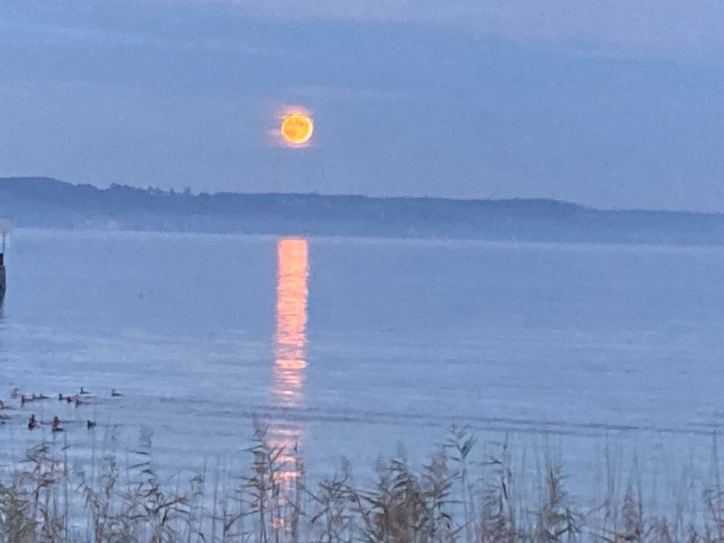Der Supermond – auch in Konstanz zu&nbsp;sehen.