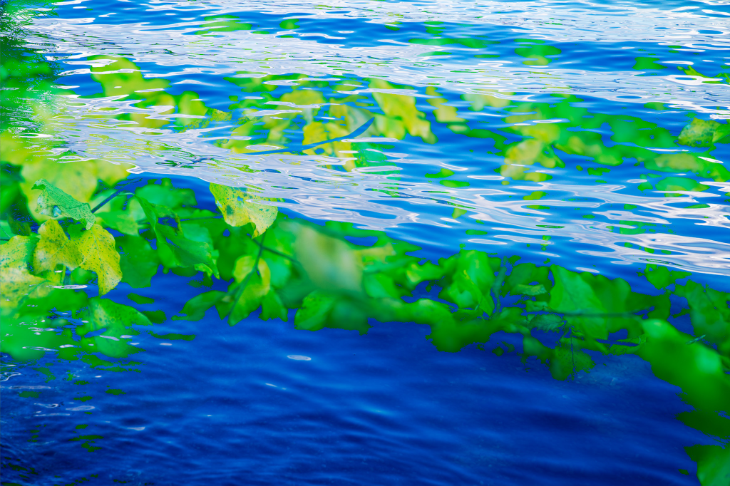 Künstlerehepaar: Petra Wenski-Hänisch und Nico&nbsp;Hänisch