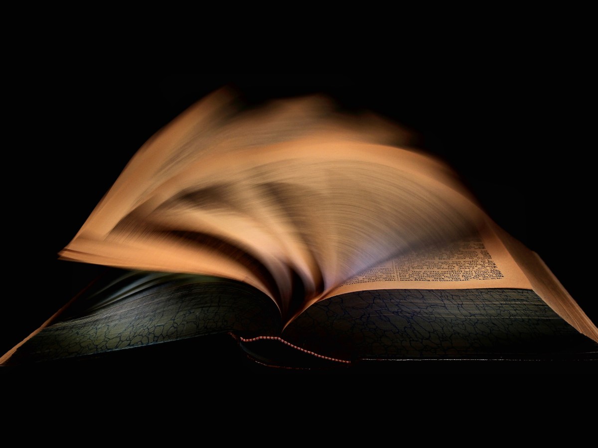 Wenn Gehorsam Wissen erstickt: Ein Plädoyer für Gespräch und&nbsp;Gerechtigkeit