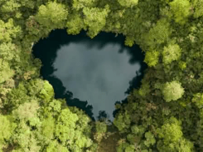 Gemeinsam die wunderbaren Regenwälder&nbsp;bewahren