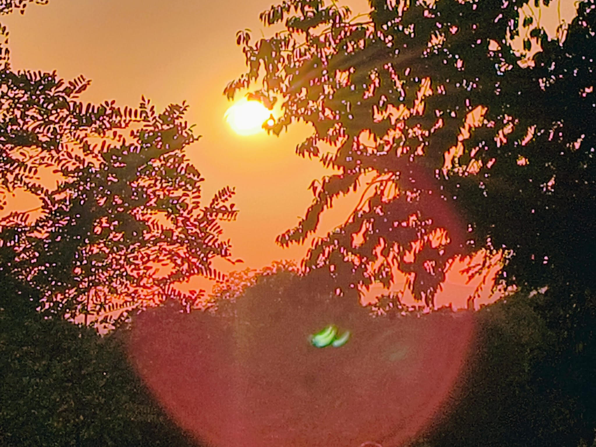 Partielle Sonnenfinsternis auch in Konstanz
